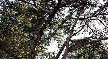 Casa Vacanze Le Due Torri Hotel *